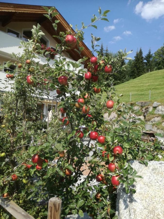 Ferienwohnungen Hinterstein Hart im Zillertal Eksteriør bilde
